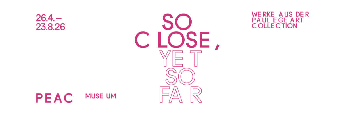 PC Anzeige SC YSF 195x81 CMYK 1