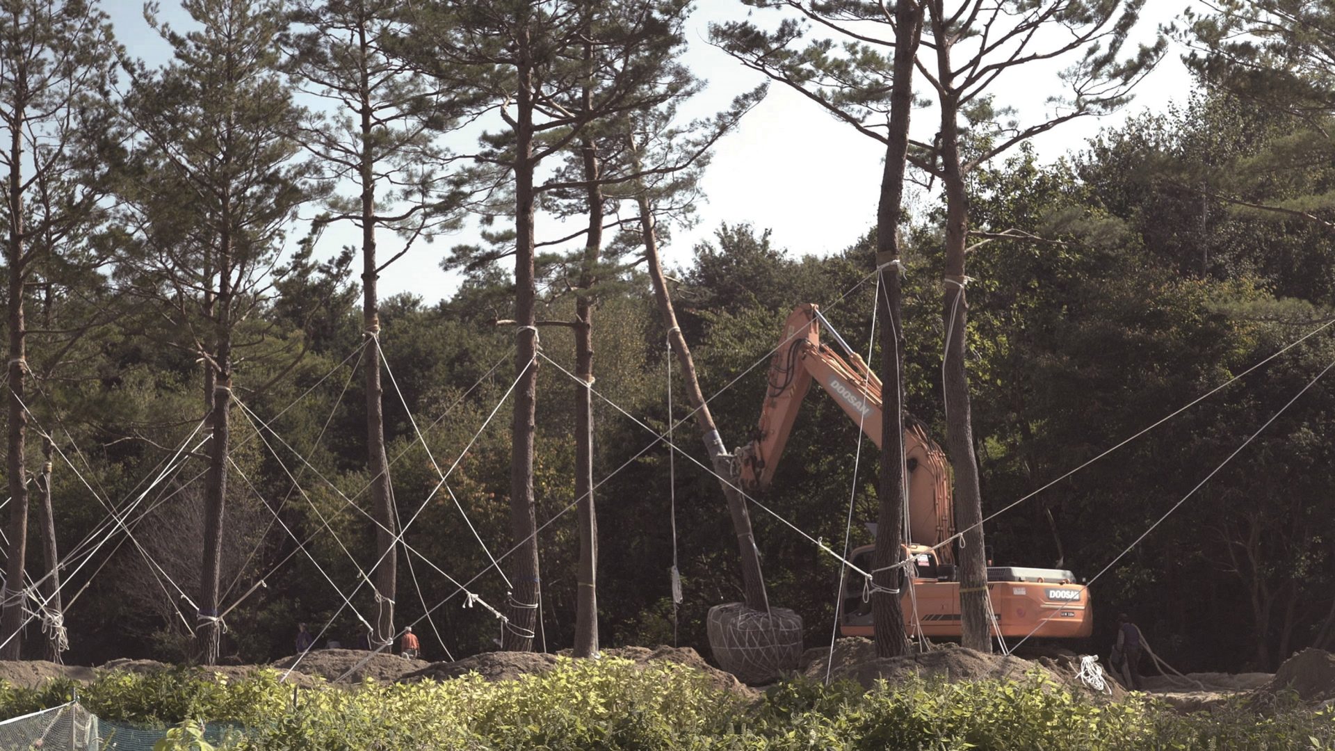 Sound Garden (stills), 2019, Single channel video installation, FHD video, 30 min., colour/ 3-channel sound © Jeamin Cha