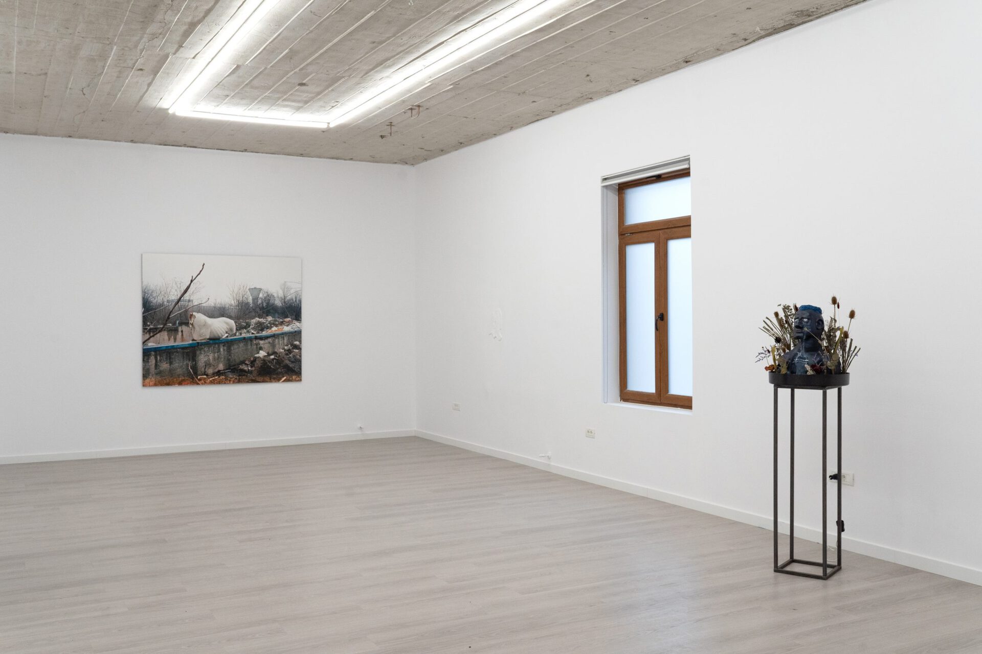 Exhibition view. From left to right: Michele Bressan, Lea Rasovszky. Photo credit: infi.ro