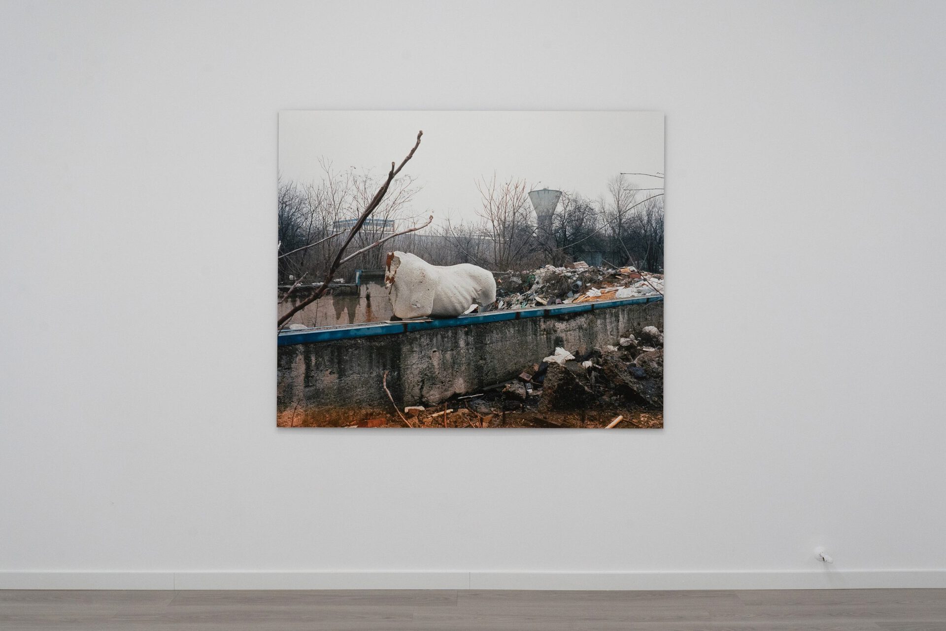 Exhibition view. Michele Bressan, Timpuri Noi, 2014, ultrachrome pigment print on Hahnemuhle Rag Baryta paper mounted on aluminium, 180 x 145 cm. Photo credit: infi.ro
