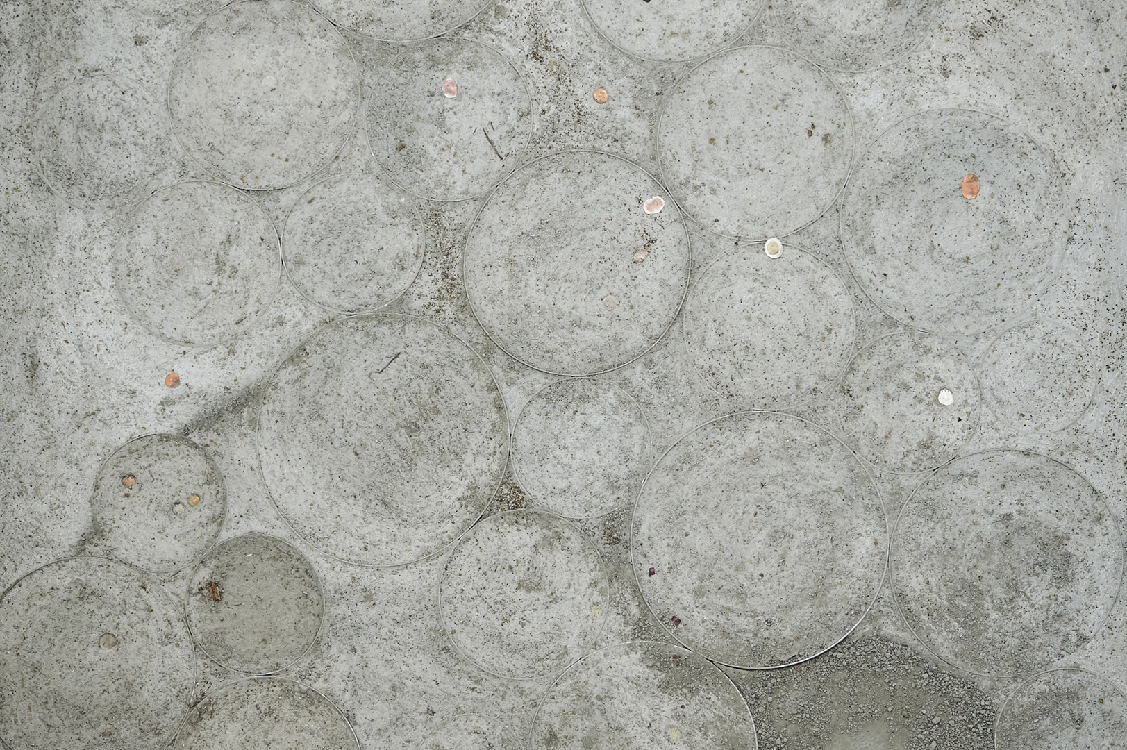 Jenine Marsh, am i worth anything or am i shit, 2000, steel, concrete, soil, wildflower seeds, mixed-currency train pressed coins, organic matter
