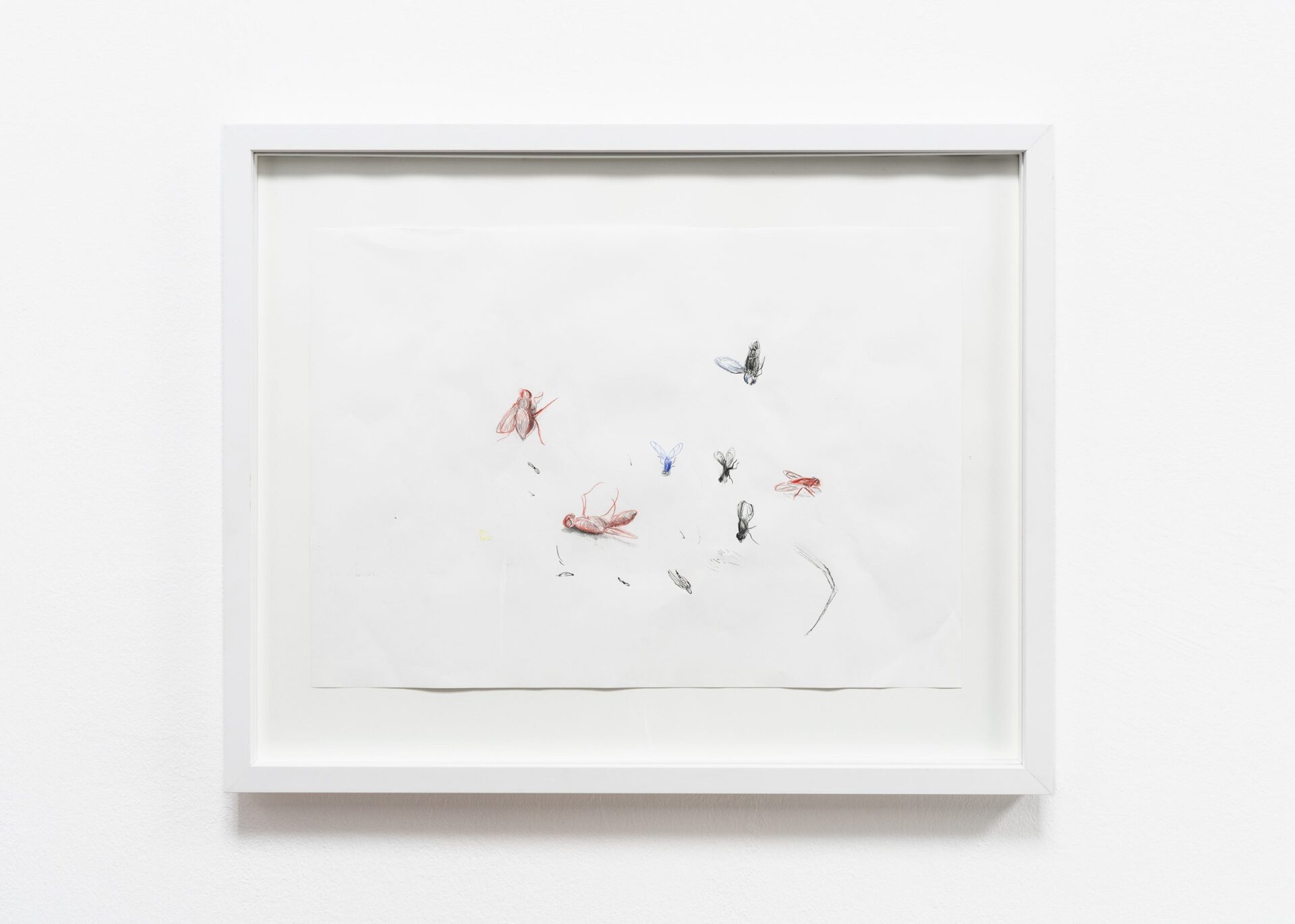 Bradley Davies, "untitled", preparatory sketch for fly paintings, 29,7 x 42 cm (42,,5 x 52,5 cm framed), 2020