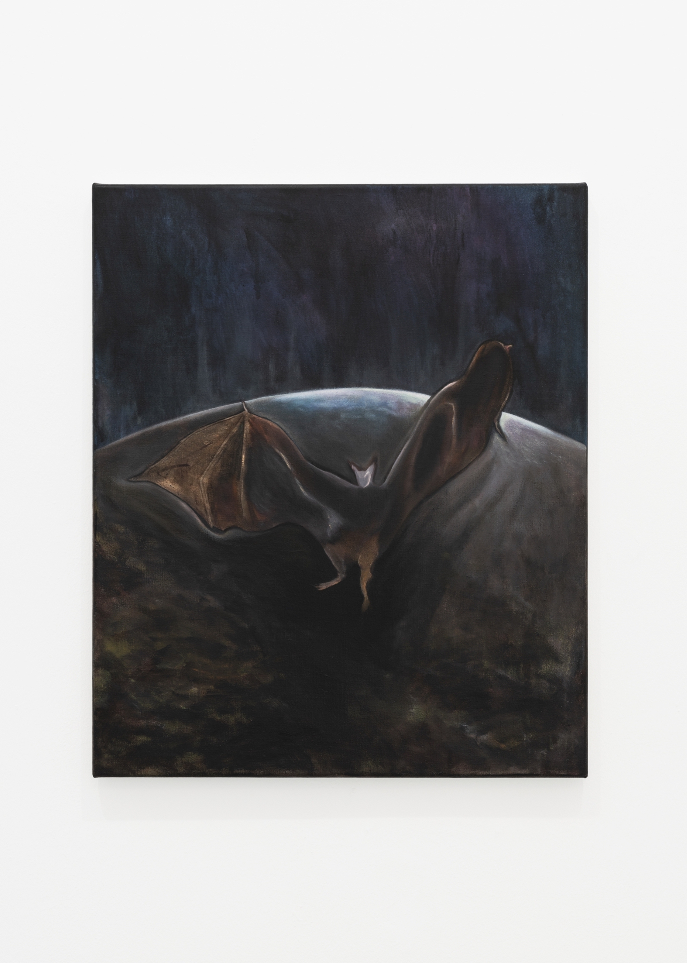Bradley Davies, "untitled", oil on linen, 60 x 50 cm, 2020