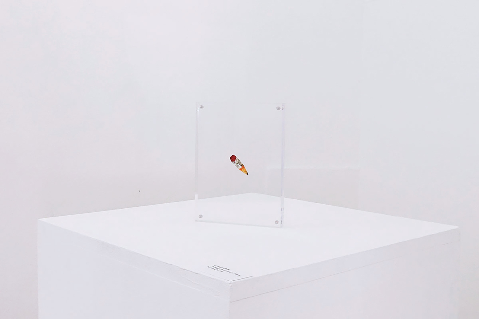 Marta Galmozzi, Untitled (2018), Photograph, plexiglass frame, 15 x 20 cm, installation view. Courtesy of the artist and PVC