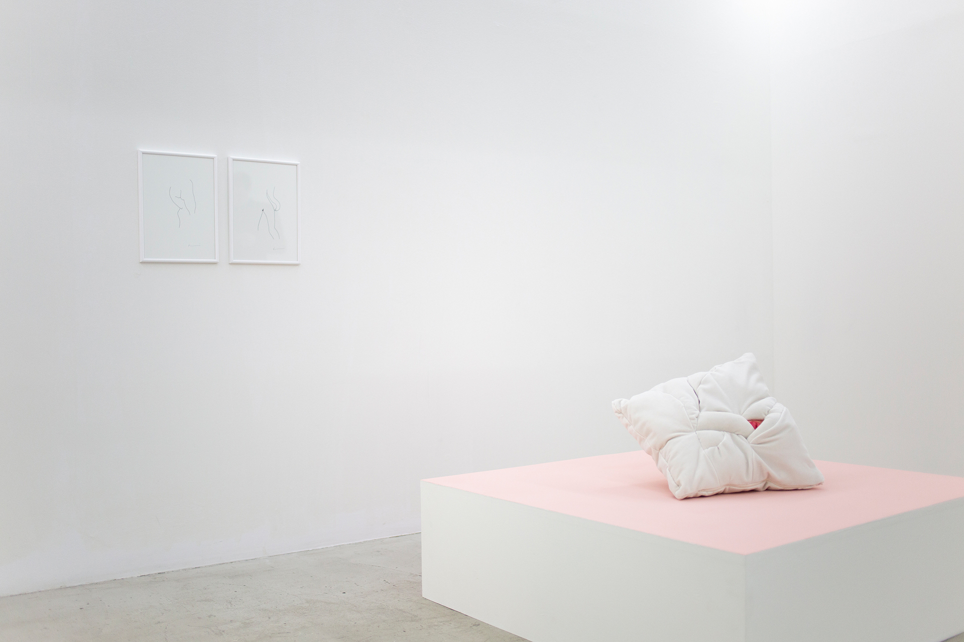 Anaïs Edely, Installation view