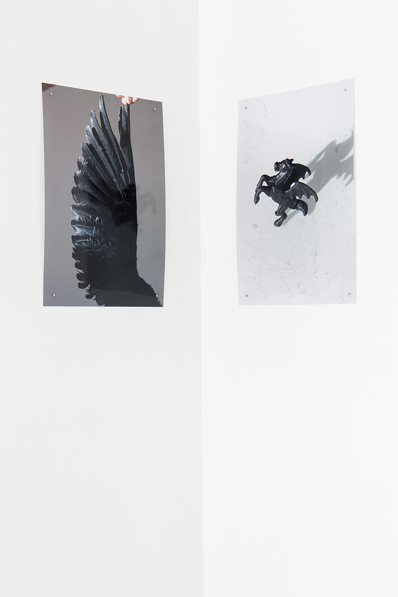 Hanna Antonsson, Pegasus Wing Display, 2020 (Diptych, glossy inkjet print, edition of 3/3, 21 x 30 cm).