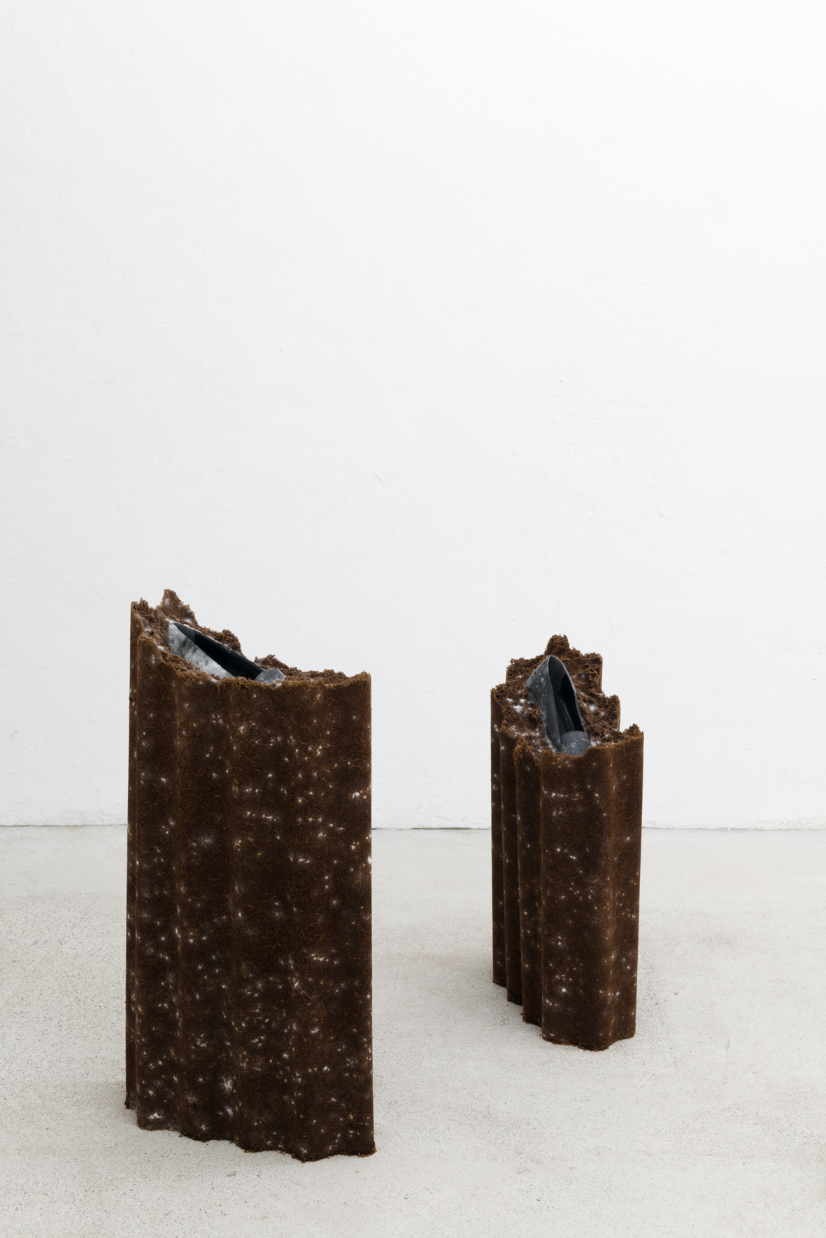 08_pina_where-the-wild-roses-grow.jpg — Angelika Loderer: Animate, 2020; coconut substrate, mycelium, leather shoes