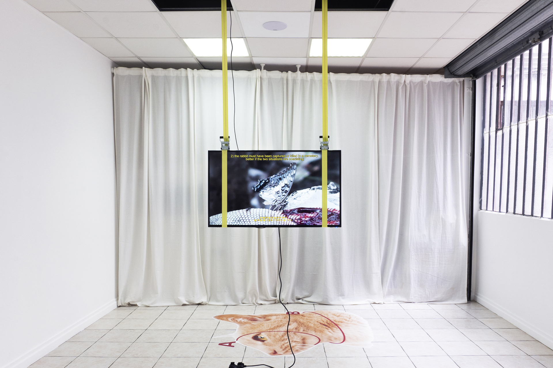 Wisrah Villefort, Untitled, 2020 (video 7m55s, monitor, extensions, printed media, wires & straps)