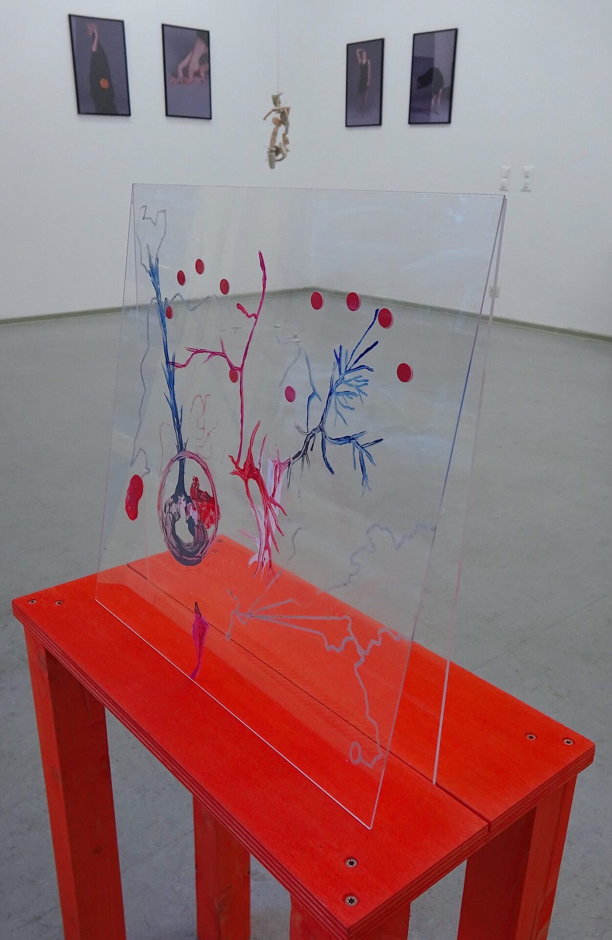 Installation View, Monika Dorniak