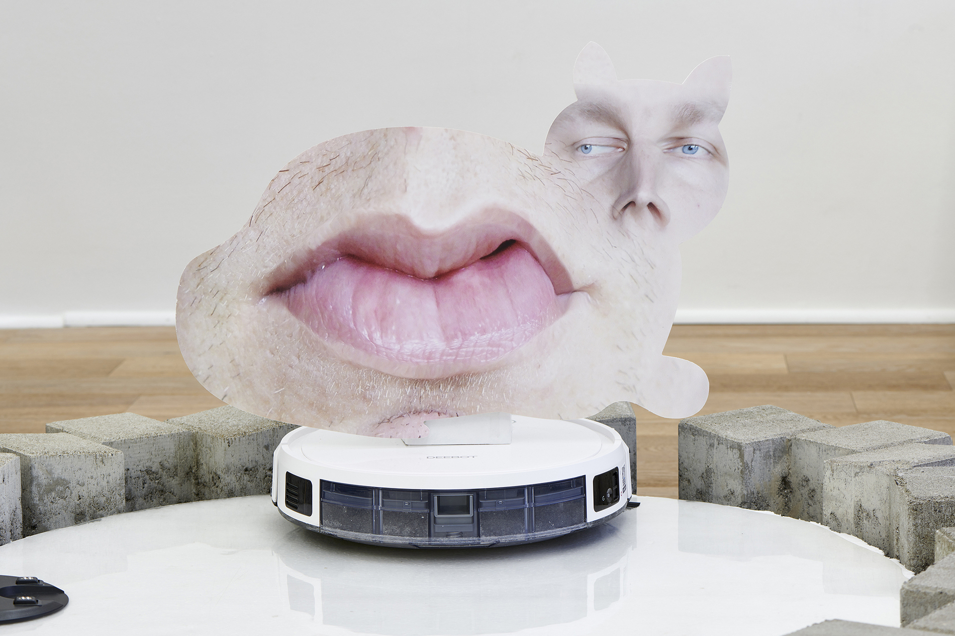 Andrey Bogush, Proposal for hoover, cat cut out and distorted face (The living web of care is not one where every giving involves taking, nor every taking will involve giving), 2020, UV print on foam board, robot hoover, styrofoam, concrete stones, transparent PVC, 51 x Ø120 cm
