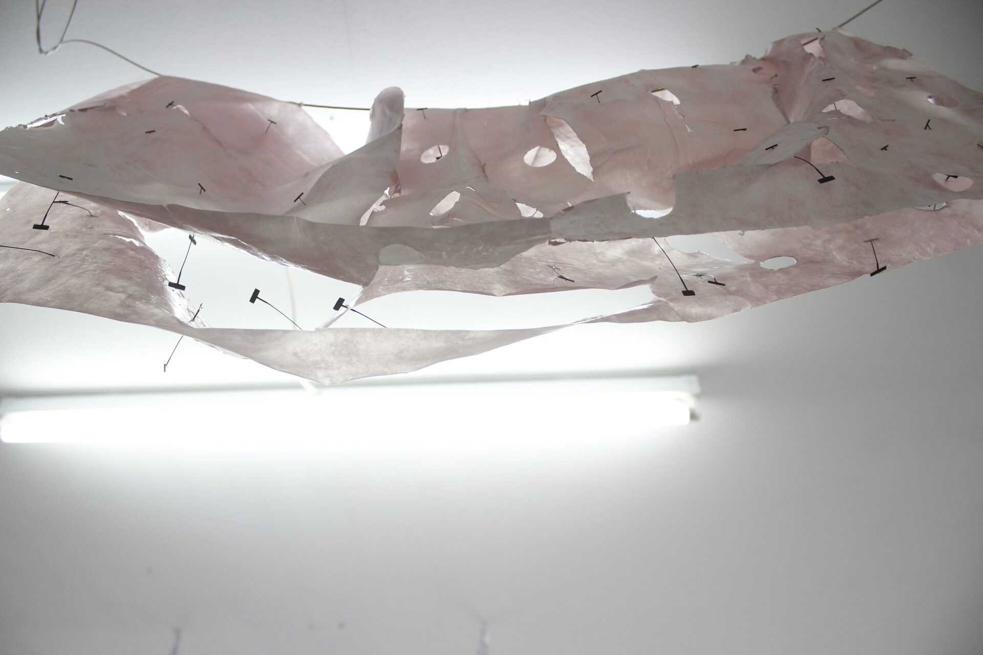 A Californian Plumber, 2020, Agnieszka Szostek at Fugitif, Leipzig, installation view