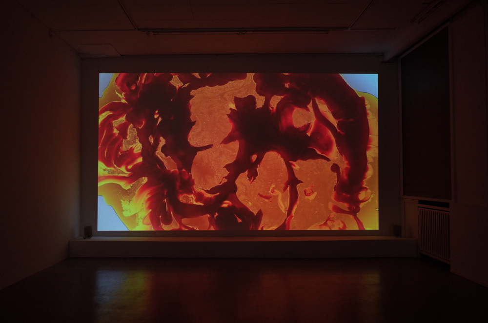 Ani Schulze, Flint House Lizard, installation view basis, photo: Inga Danysz