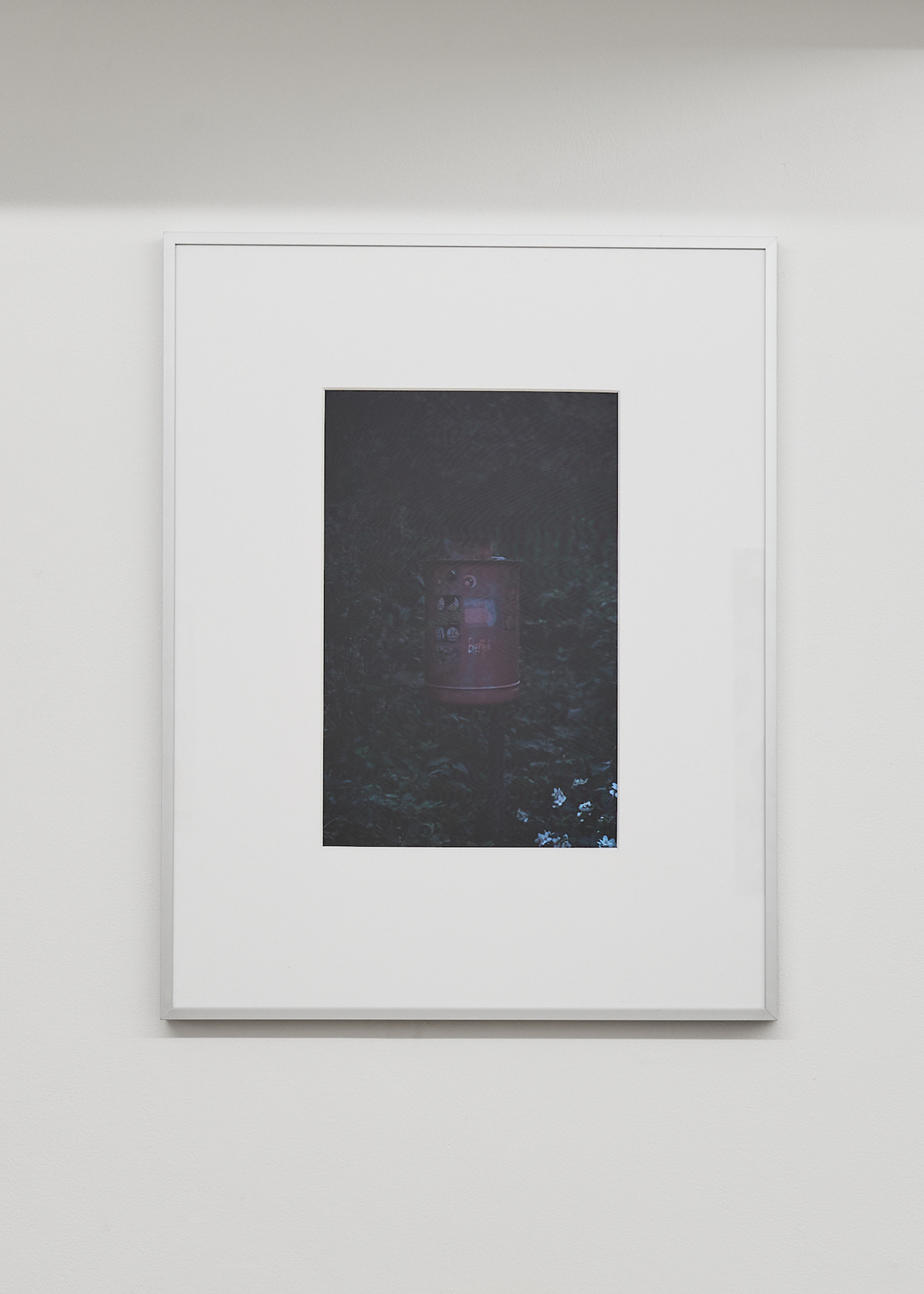 Michel Wagenschütz, L‘indifferent / The Casual Lover, Syrinx disposal, Dickicht Thomashöhe, Berlin, 2020, Light jet print on Kodak Endura Premier, 1/3 + 2AP, 51 x 41 cm