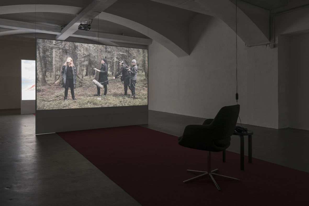 Annja Krautgasser, "Waldszenen", 2015, Installation view "Travel Apparatus"