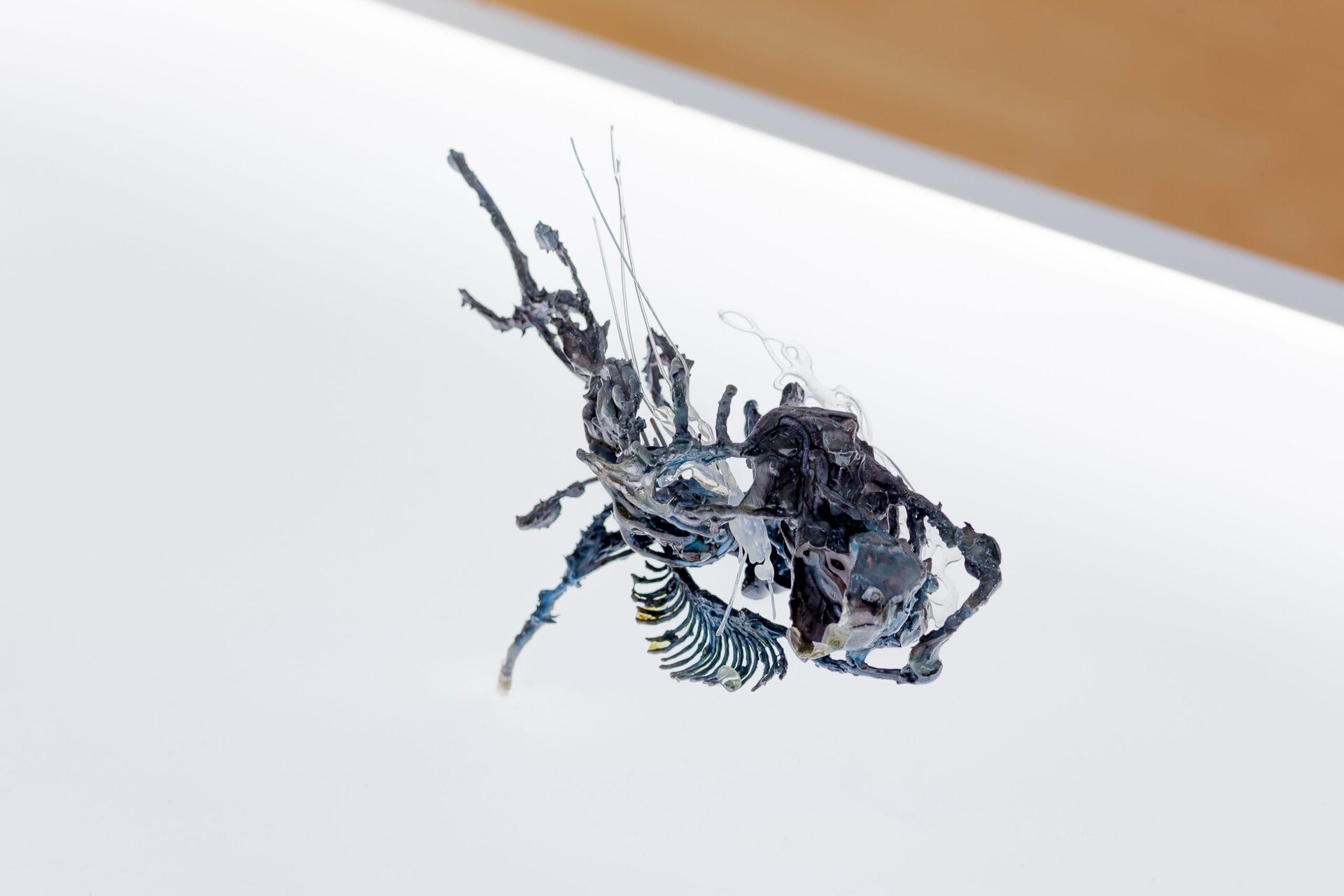 Ivan Pérard, Bioremediation Kitchen, PLA, polyurethane sculpt, wire, inks, lacquer. Lightbox dimensions variable