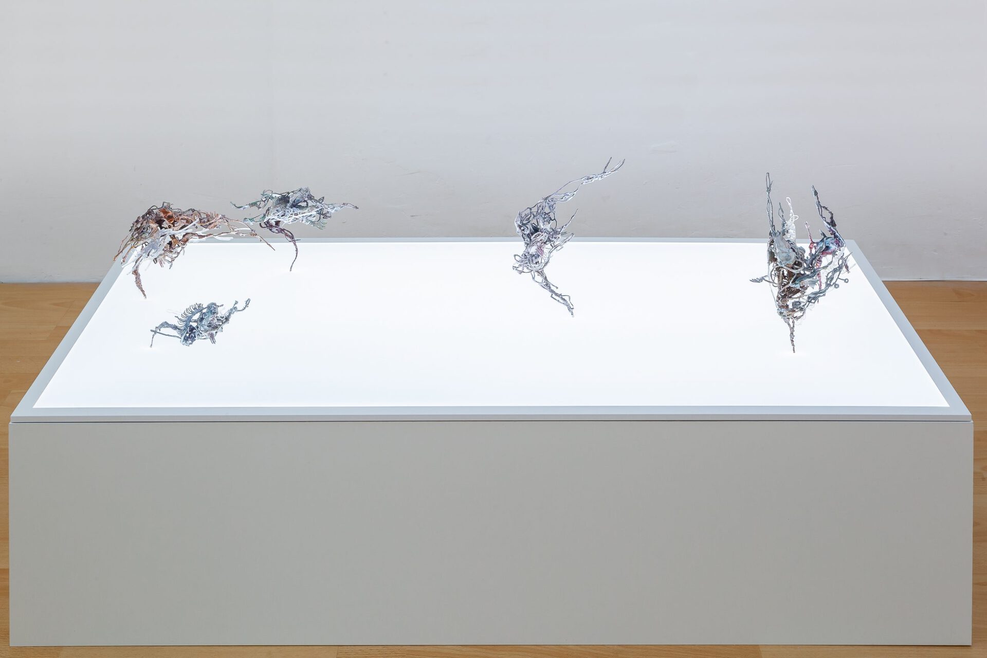 Yein Lee & Ivan Pérard, Crosspollination, 2019, installation view, Loggia, Vienna