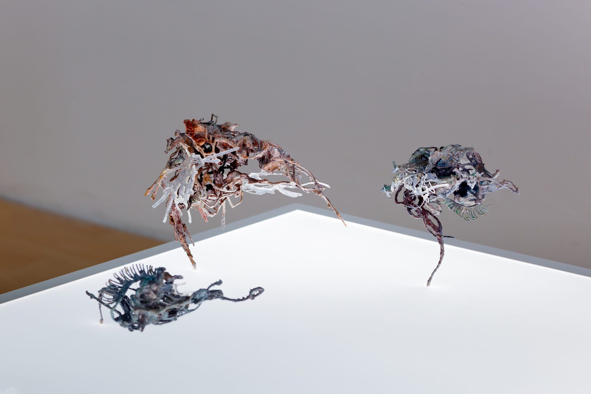 Ivan Pérard, Now Celebrating Densest Megacity in 4th Quadrant 7th Year Running / Nothing to do But Decompose & TV / Panspermia Bank Ltd, PLA, polyurethane sculpt, wire, inks, lacquer. Lightbox dimensions variable