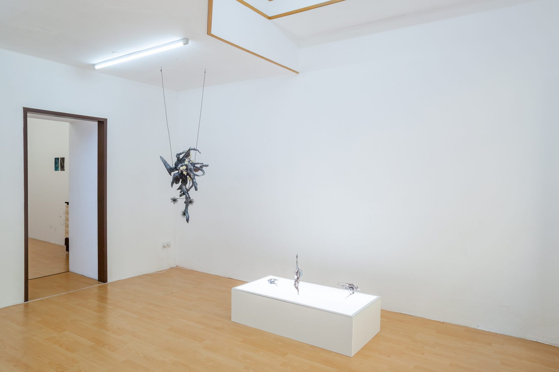 Yein Lee & Ivan Pérard, Crosspollination, 2019, installation view, Loggia, Vienna