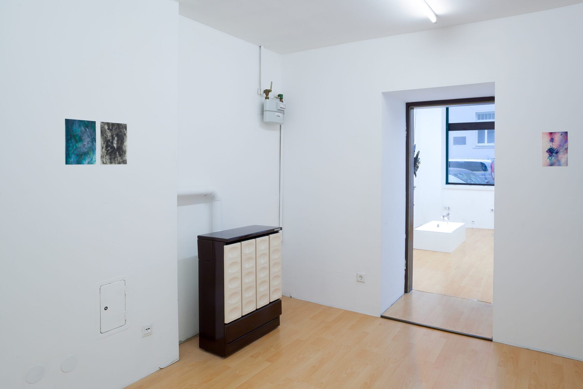 Yein Lee & Ivan Pérard, Crosspollination, 2019, installation view, Loggia, Vienna