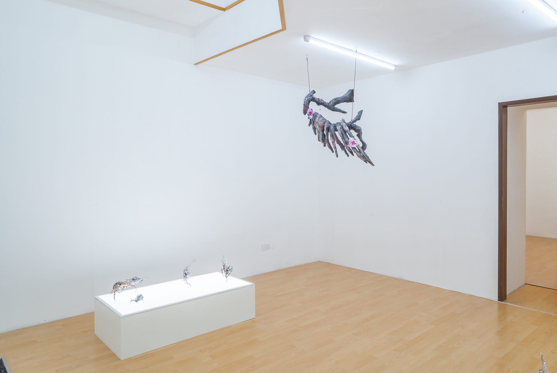 Yein Lee & Ivan Pérard, Crosspollination, 2019, installation view, Loggia, Vienna