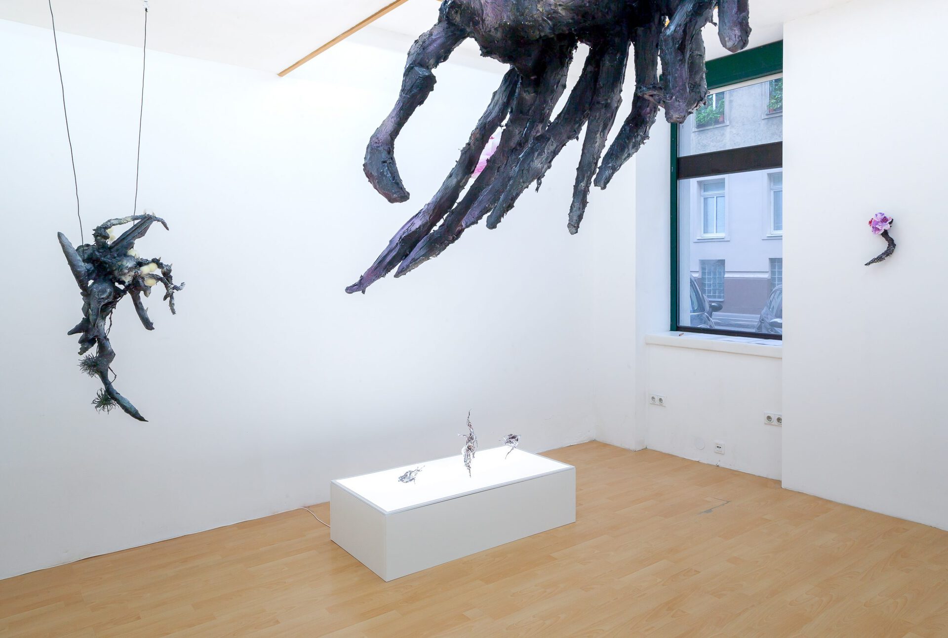 Yein Lee & Ivan Pérard, Crosspollination, 2019, installation view, Loggia, Vienna