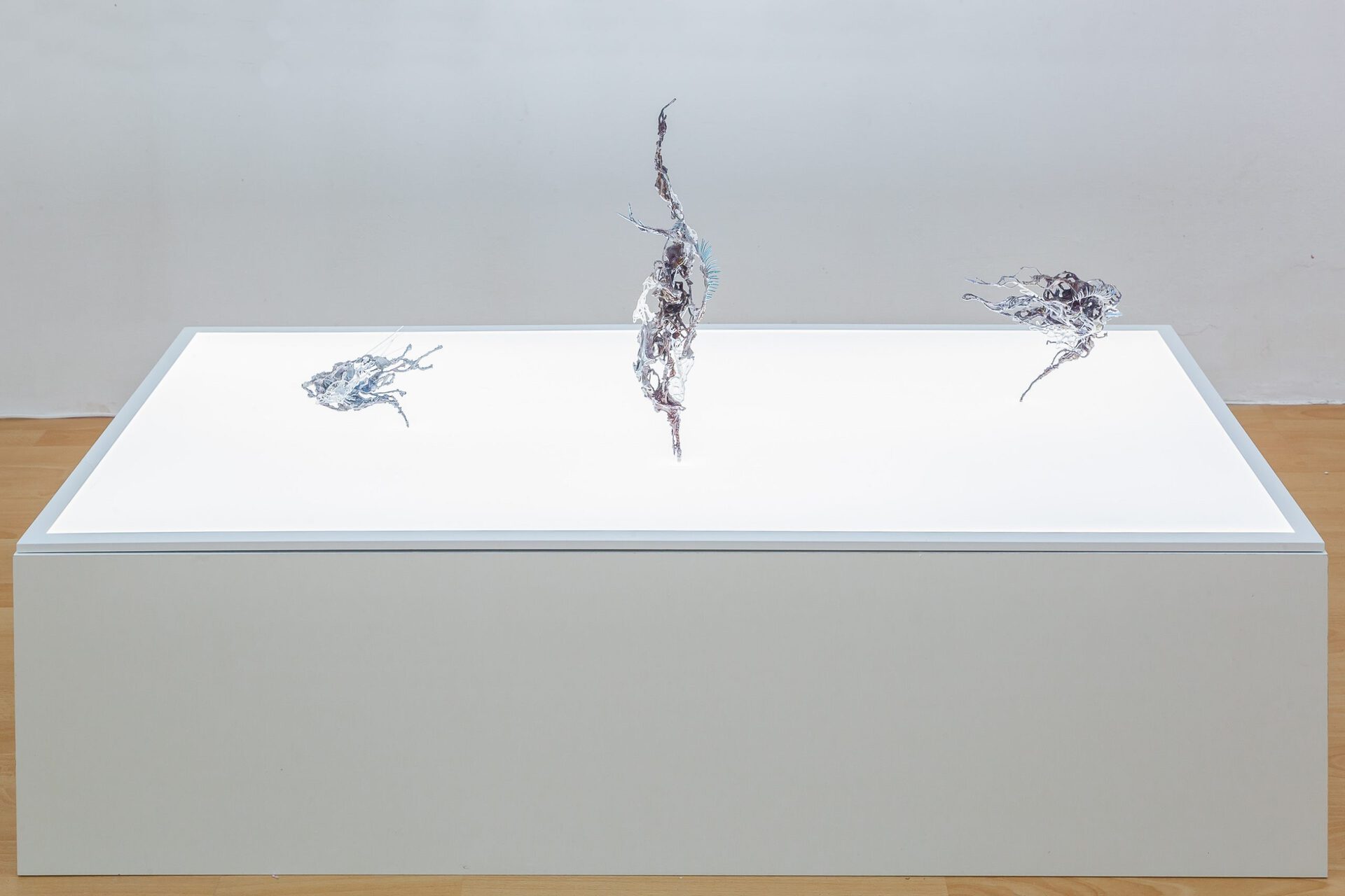 Yein Lee & Ivan Pérard, Crosspollination, 2019, installation view, Loggia, Vienna