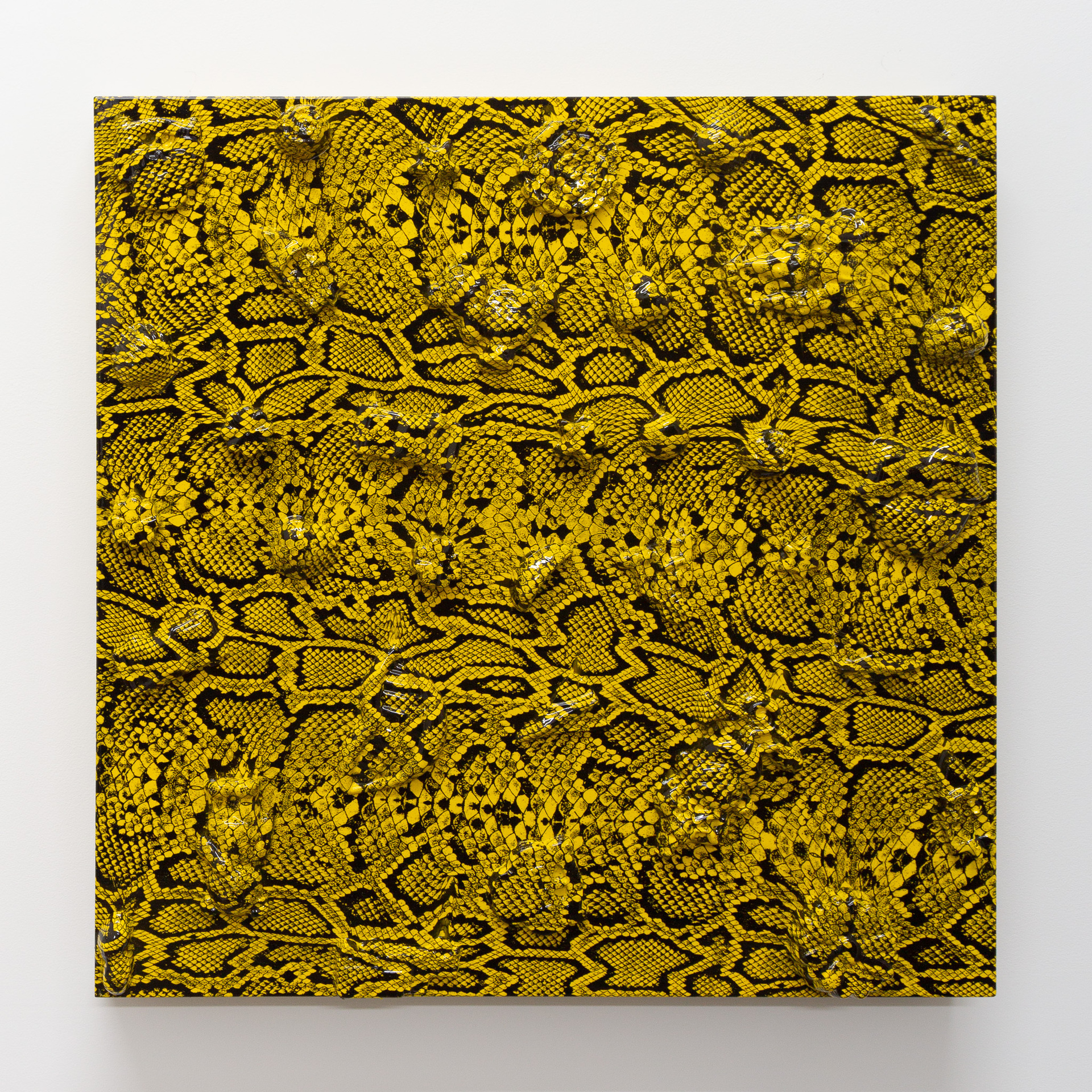 Yolunda Hickman, Shells (Scales), 2019, polyvinyl achohol print on resin, plaster, gesso on board, unique state print, 50 x 50 x 6.5 cm