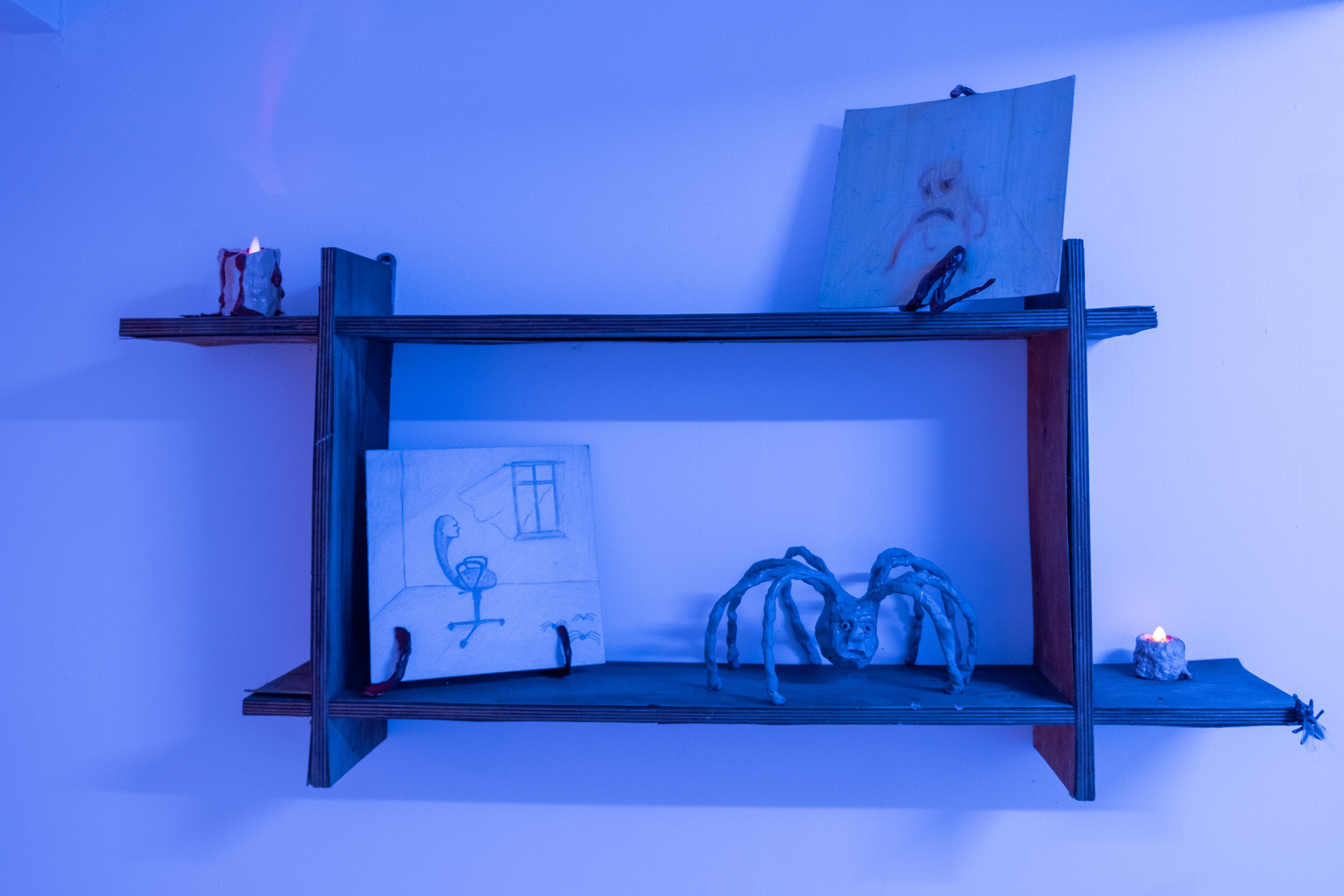 Rafał Żarski,Spider feast 2020, indoor view, front wall,installation detail, mix media, drawings on paper