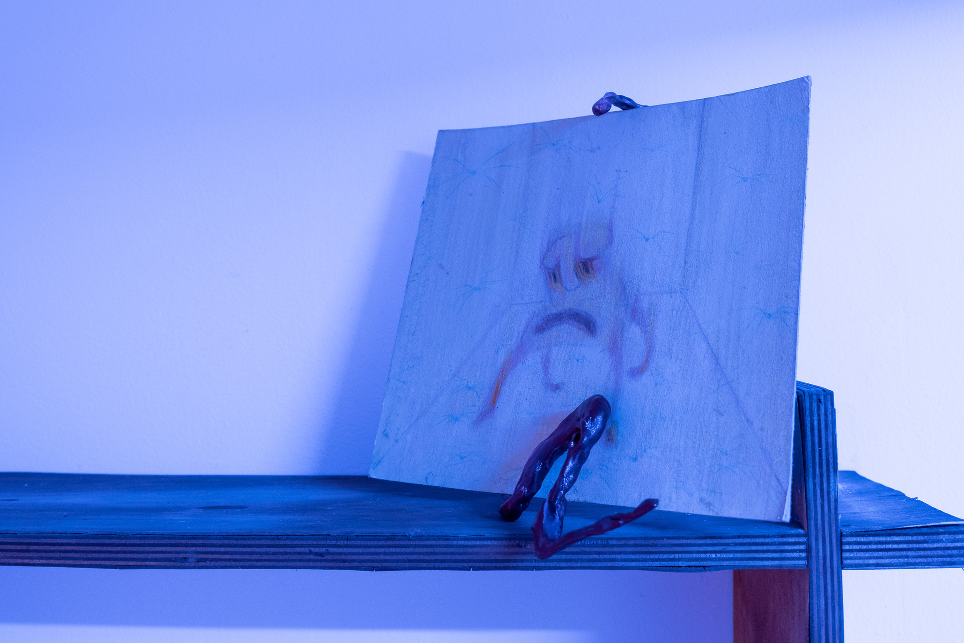 Rafał Żarski,Spider feast 2020, indoor view, front wall,installation, mix media, drawings on paper