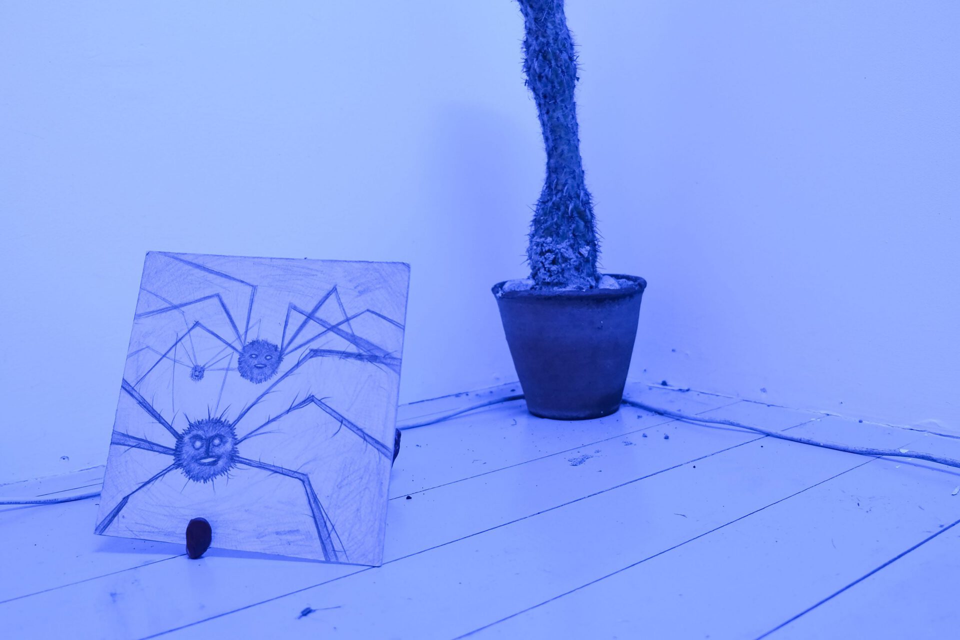 Rafał Żarski,Spider feast 2020, indoor view, drawing on paper