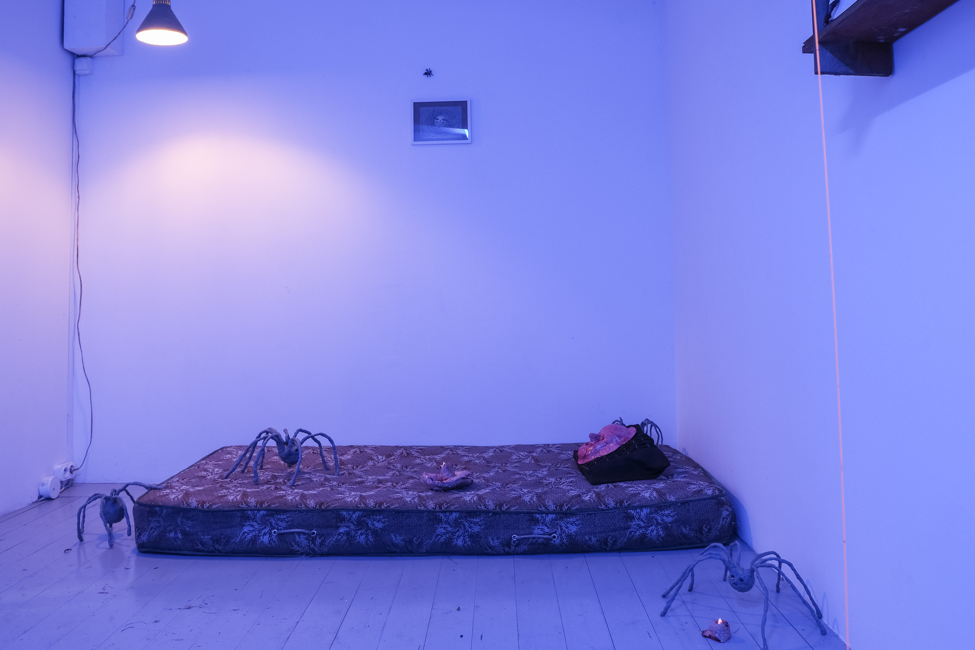 Rafał Żarski,Spider feast 2020, indoor view, left wall, installation, mix media