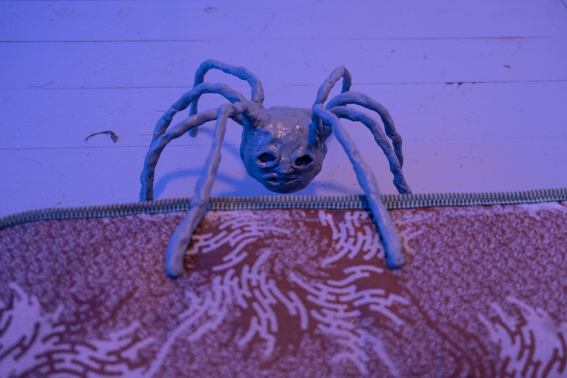 Rafał Żarski,Spider feast 2020, indoor view, left wall,installation detail, mix media