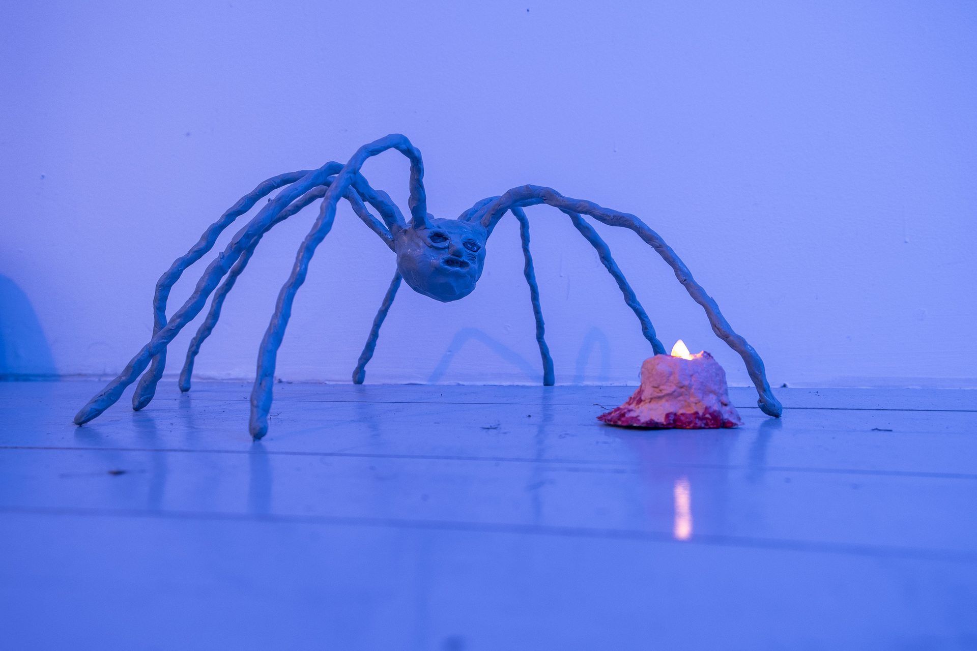Rafał Żarski,Spider feast 2020, indoor view, left wall,installation detail, mix media