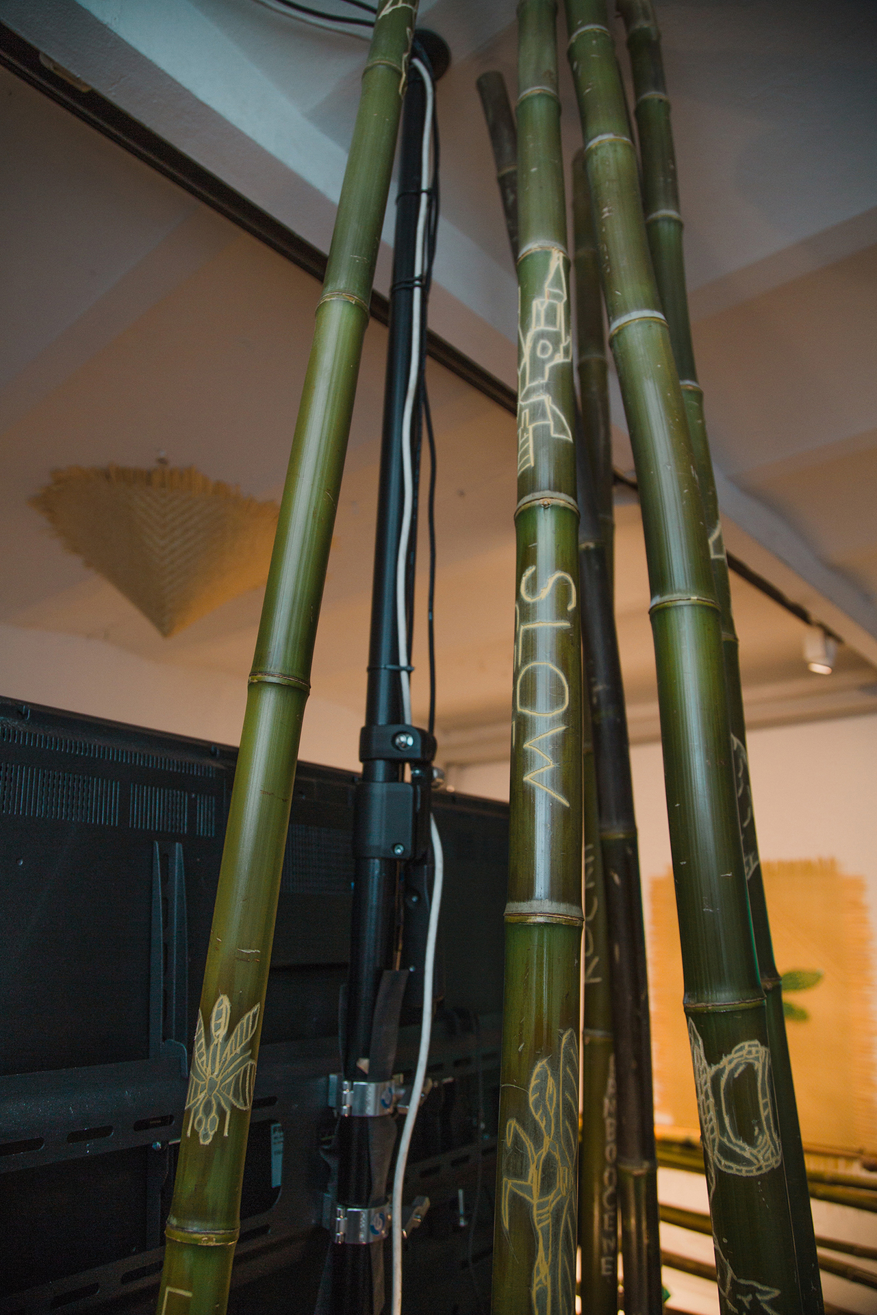 Monika Czyżyk and Torsten Zenas Burns, Geographies of a lonely Pole, (I want to build a rocket), 2020, detail