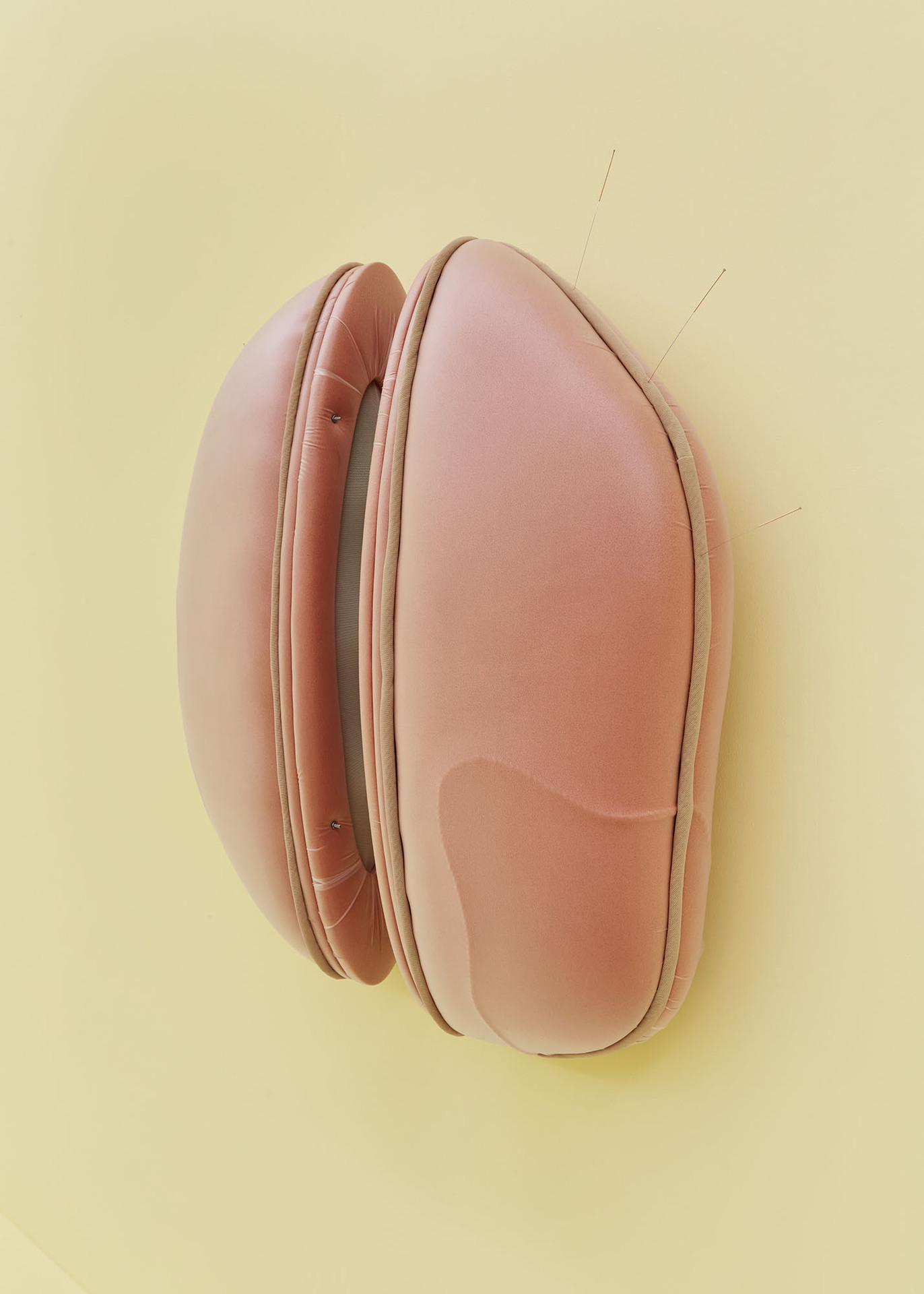 Grace Woodcock, 'Software for Feeling', 2020, suedette, TPU, upholstery foam, power mesh, cord, neodymium magnets, copper acupuncture needles, silicone, stainless steel bolts, pro and prebiotic powder, and zinc oxide. 60 x 62 x 15.5 cm.