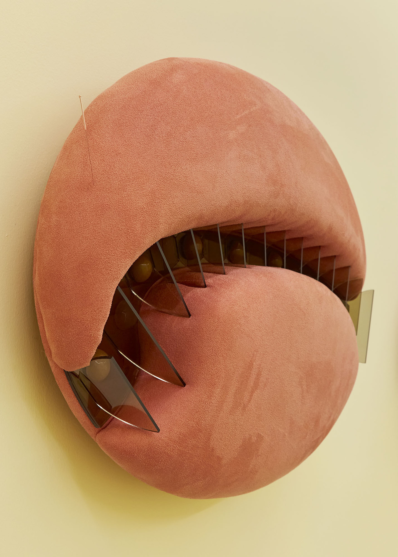 Grace Woodcock, 'Cnidaria I', 2020, Bronze tint perspex, silicone, stainless steel bolt, suedette, upholstery foam, acupuncture needle, zinc oxide, pro and prebiotic powder, and spirulina. 70 x 46 x 11.5 cm.