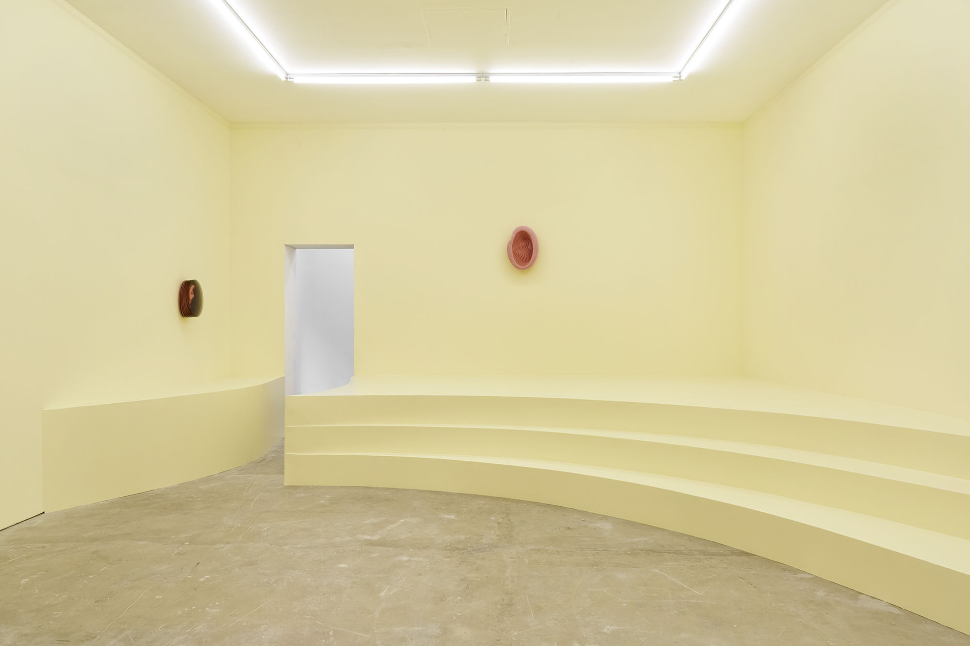 Grace Woodcock,'GUT-BRAIN', 2020, Installation shot