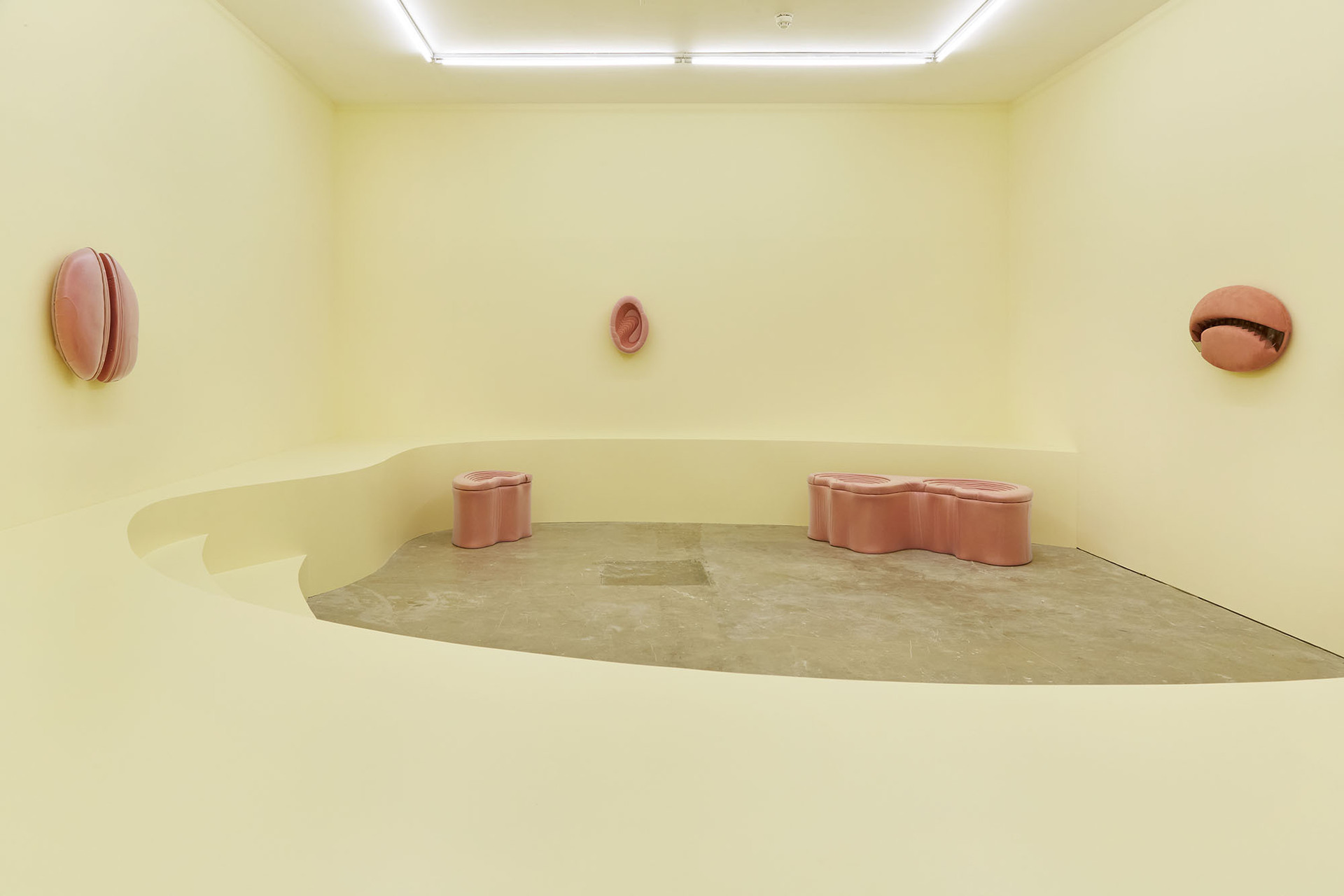 Grace Woodcock,'GUT-BRAIN', 2020, Installation shot