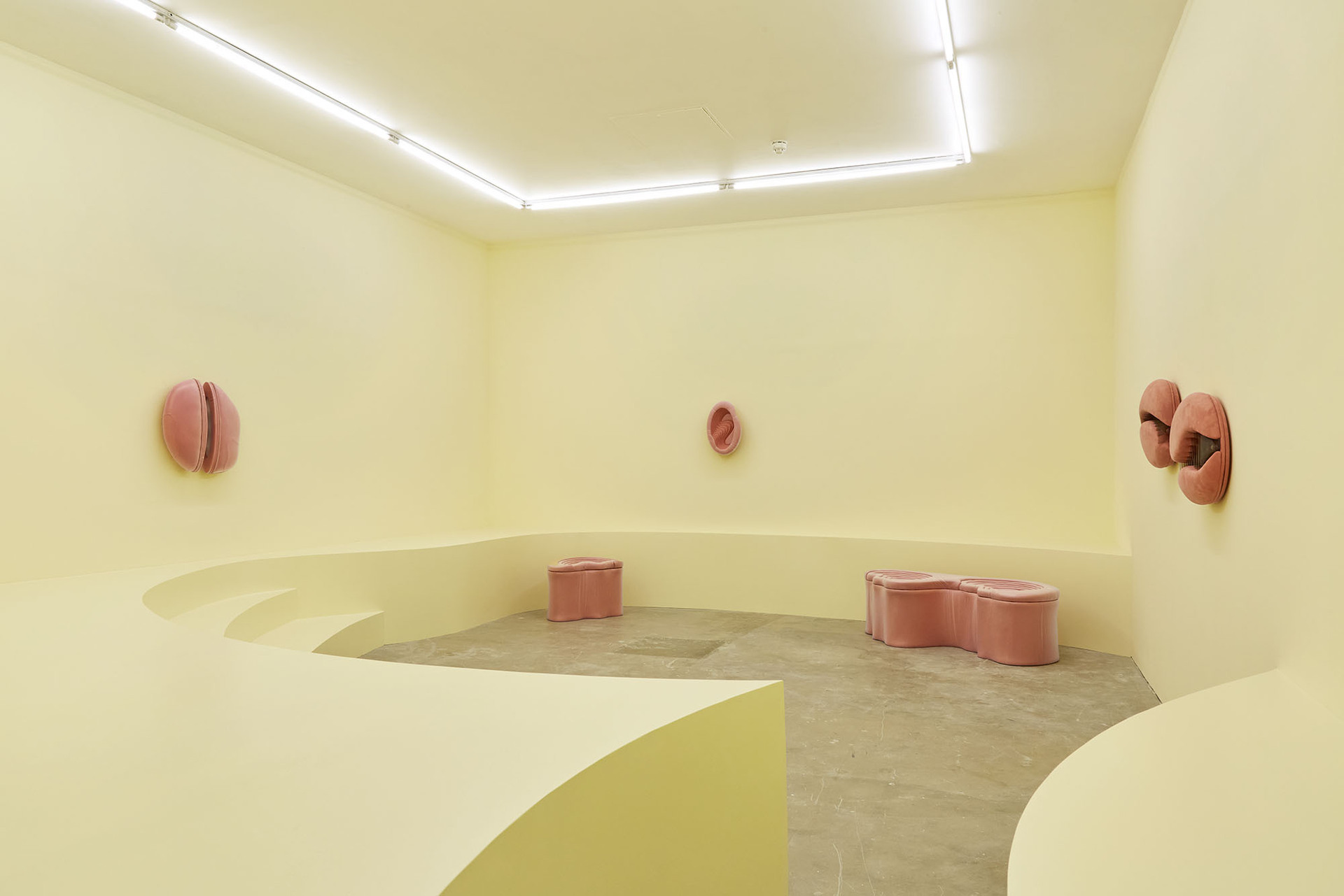 Grace Woodcock,'GUT-BRAIN', 2020, Installation shot