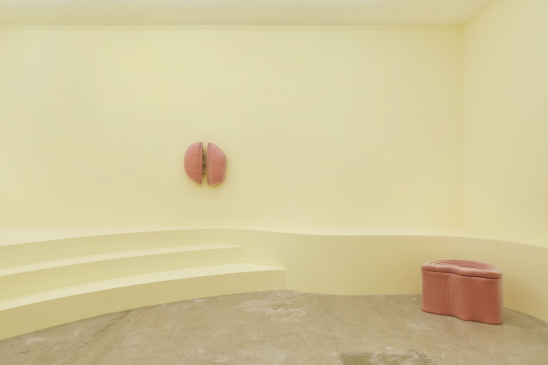 Grace Woodcock,'GUT-BRAIN', 2020, Installation shot