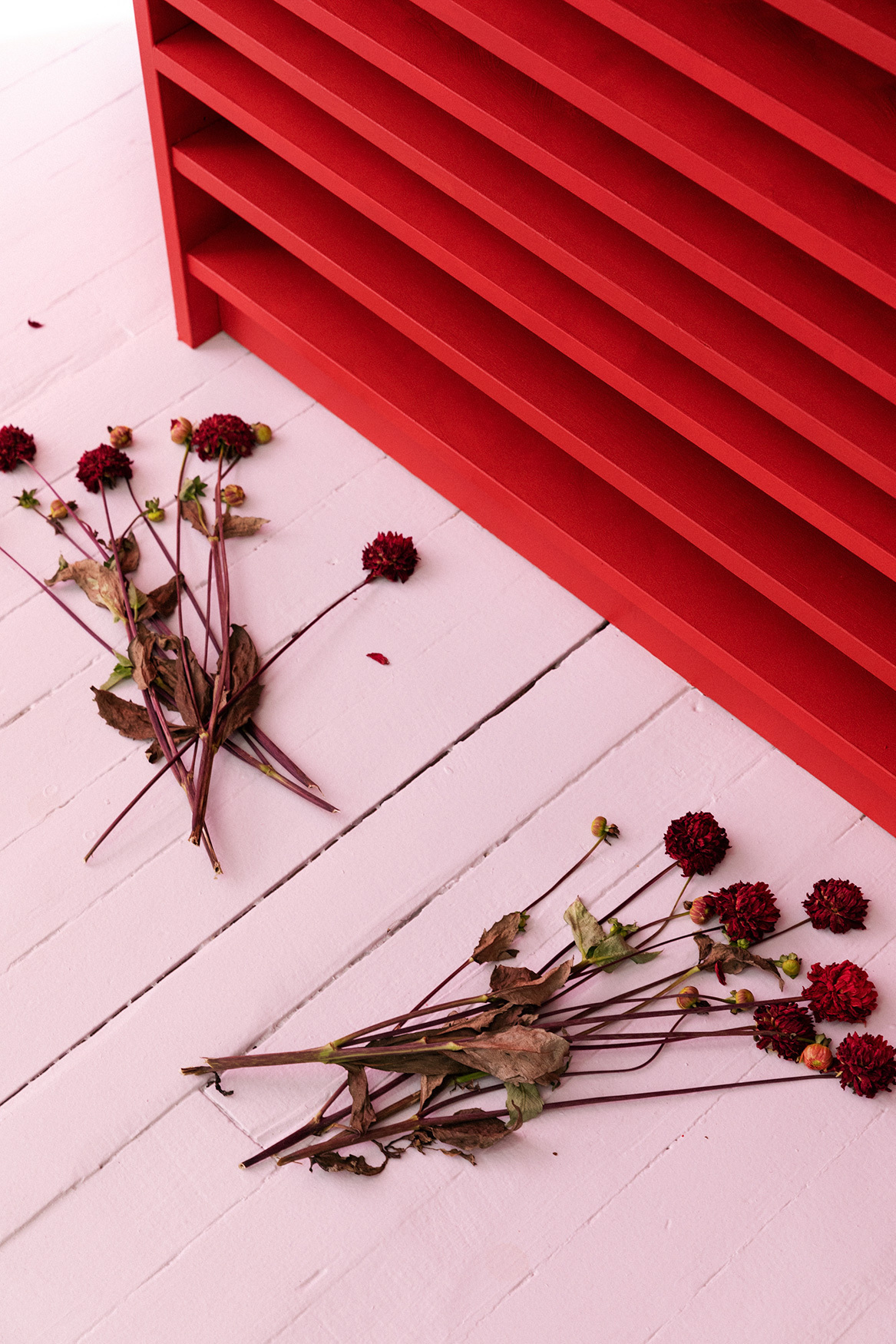 Anton Benois, Gis Bort, 2020, Ikea billy shelves, fresh flowers, red paint, 3.15H x .90W