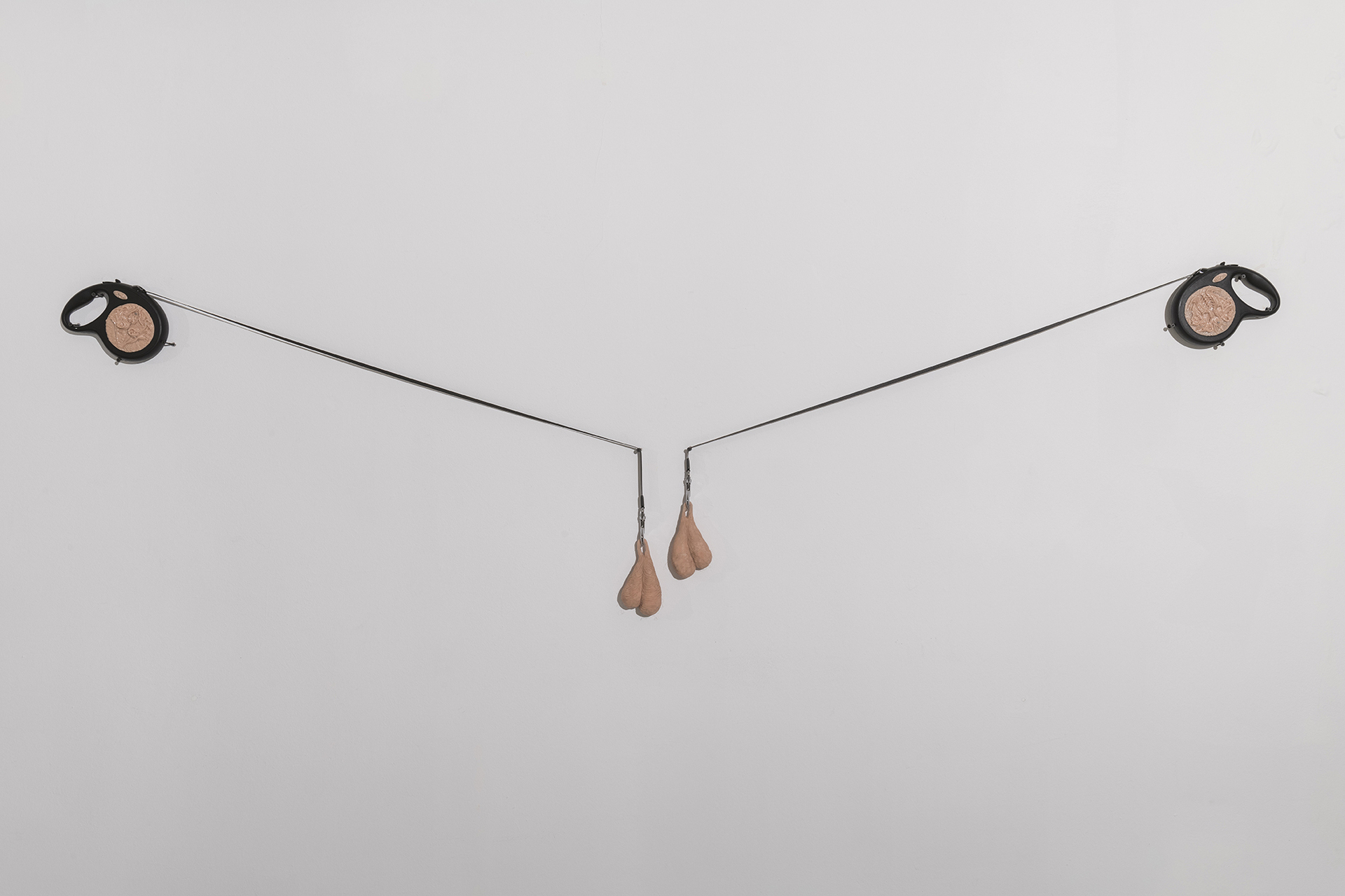 Paco Chanivet, Correas matrices, 2020, Extendable dog leashes, polymer clay and artist´s scrotal hair
