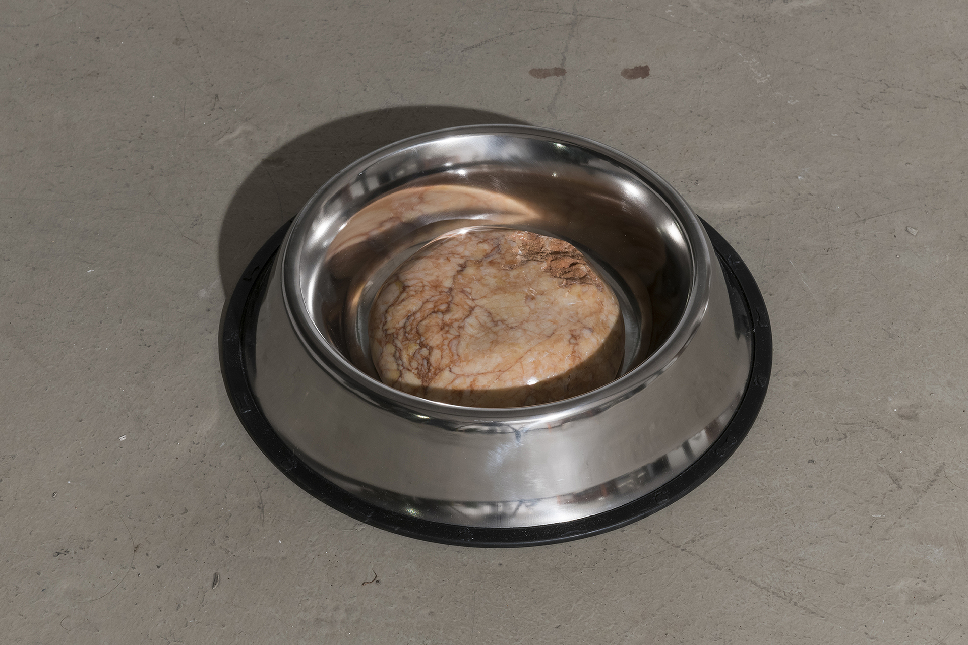 Guillermo Ros, Cuenco de piedra, 2020, Marble and dog food bowl