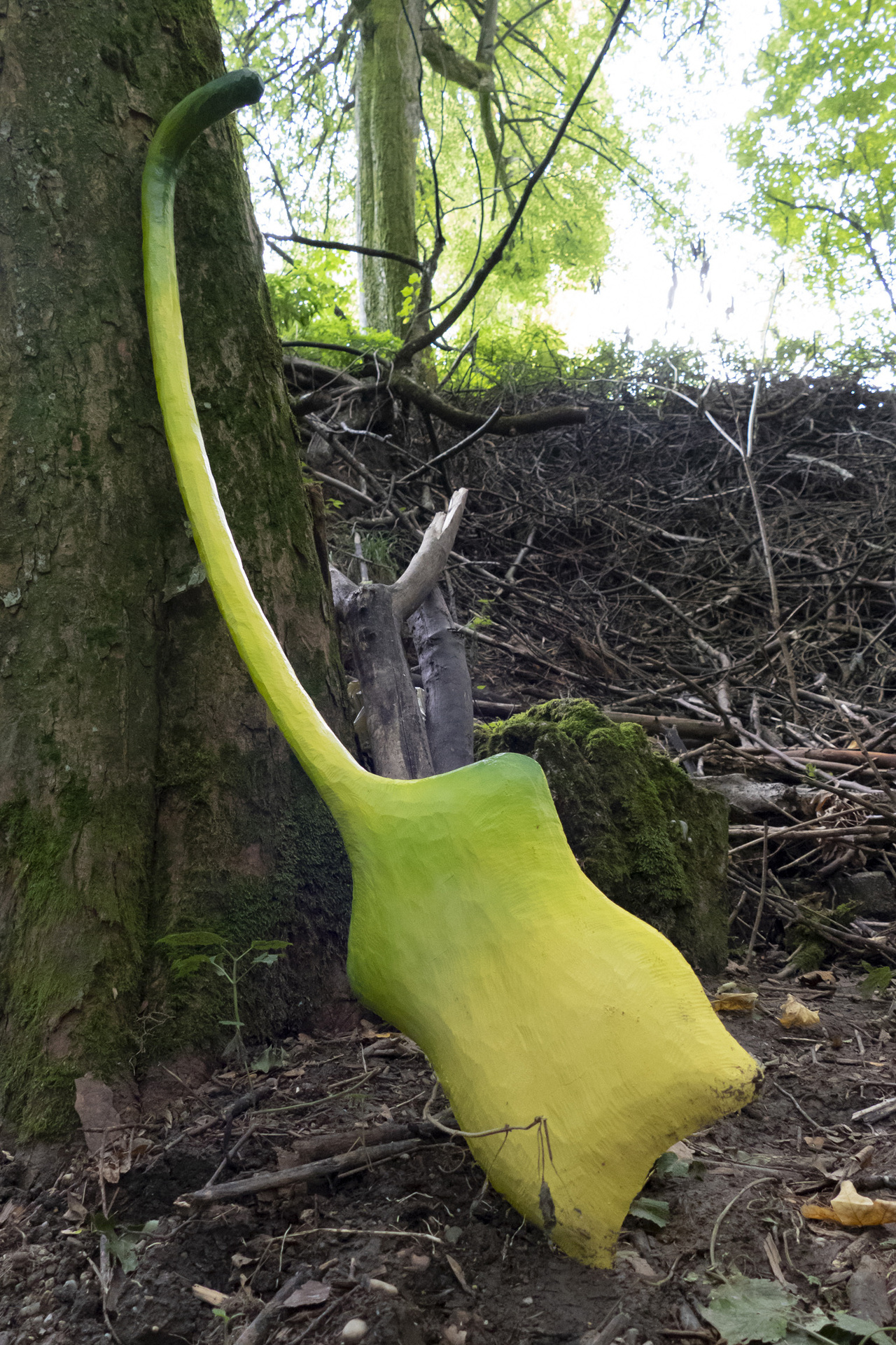 Paddle (Flower 2), 2020, beech, spray paint, varnish, 168 x 41 x 8 cm