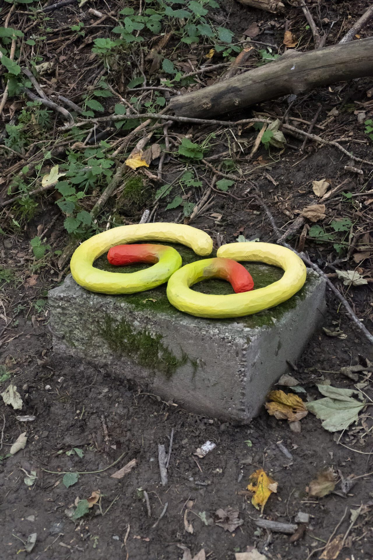 Rams, 2020, beech, spray paint, varnish, 2 x 8 x 42 x 51 cm