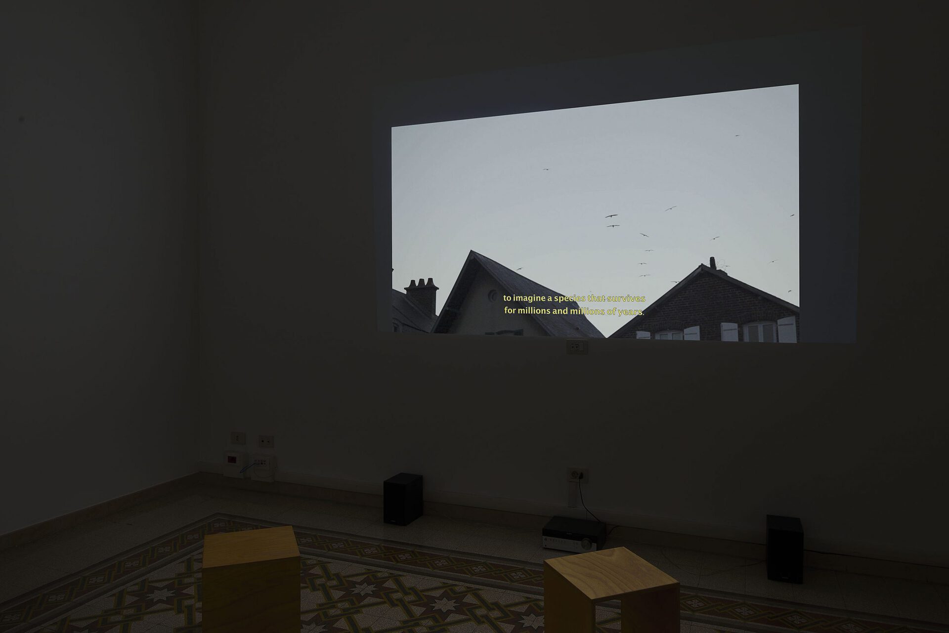 Anouk Chambaz, installation view at BALENO, 2020