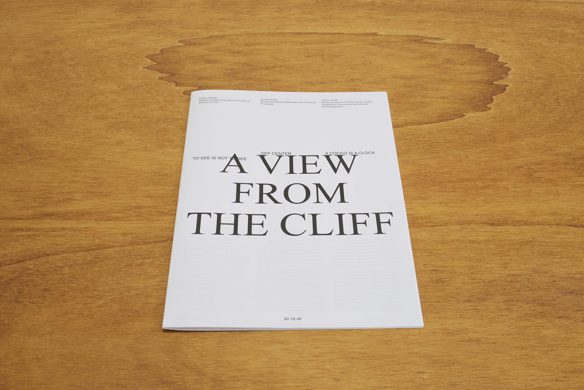 Anouk Chambaz, interview journal, 2020