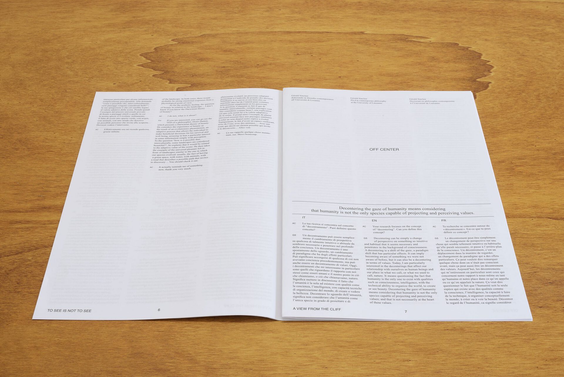 Anouk Chambaz, interview journal, 2020