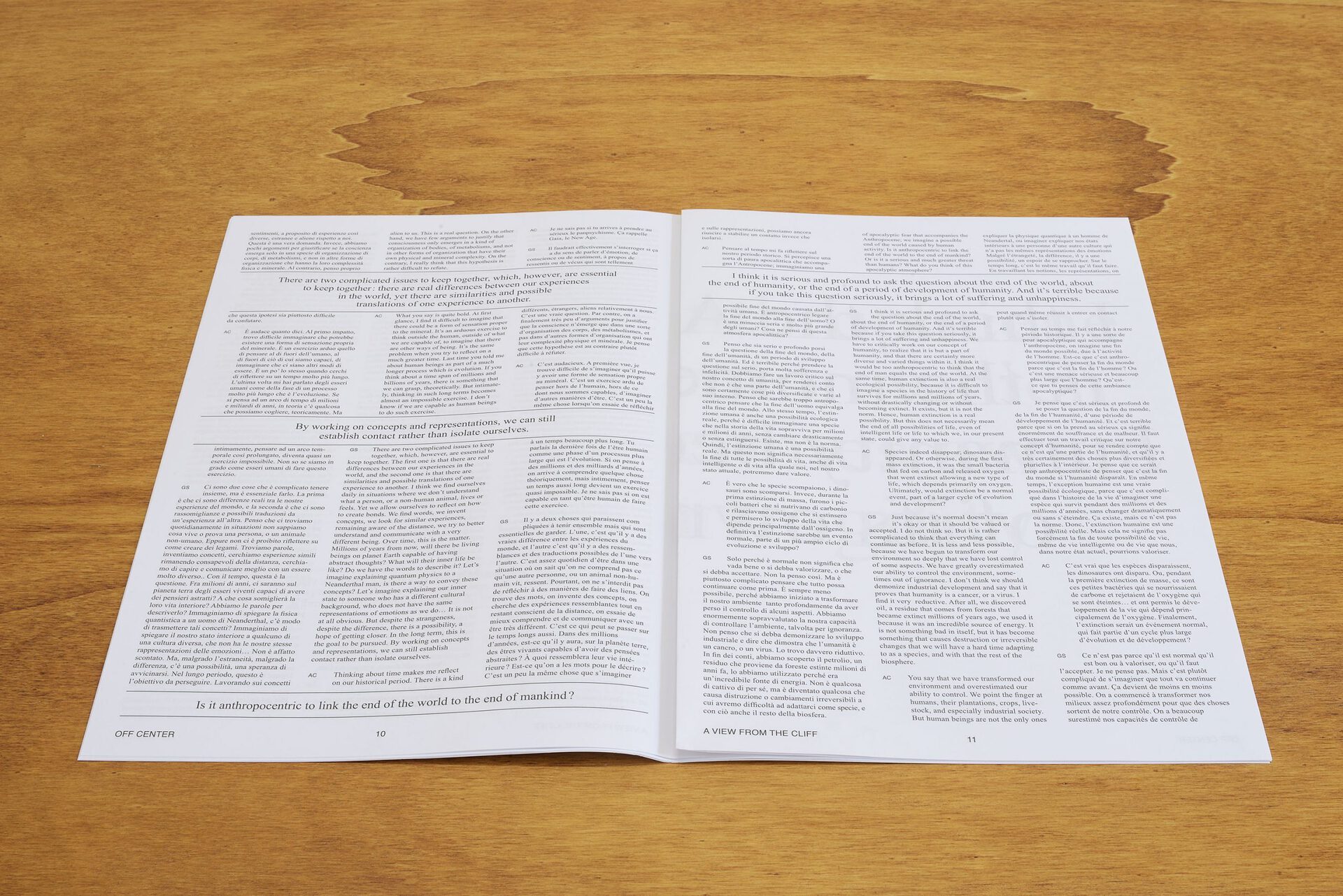 Anouk Chambaz, interview journal, 2020