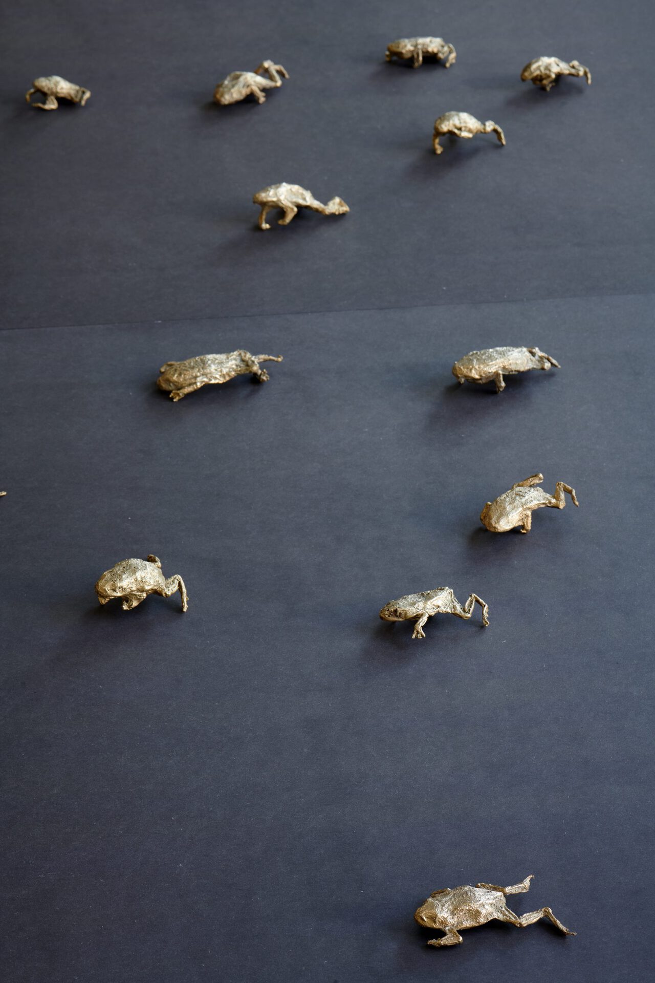 Dunja Herzog, Army of Frogs, 2018-2020, Detail, Installation view, Kölnischer Kunstverein, 2020, Photo: Mareike Tocha, Courtesy: the artist